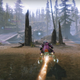 A fourth Vex cube appears in the EDZ woods.